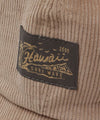 Corduroy Flight Cap