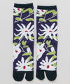 KOBUSHI TABI Socks - 23-25cm