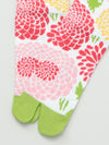 KIKU TABI Socks 23～25cm