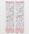 TABI Socks SIDARE SAKURA 23～25cm