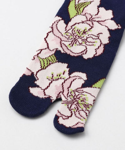 MOMO TABI Socks 23-25cm