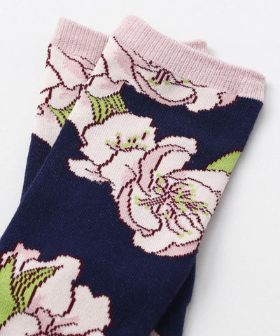 MOMO TABI Socks 23-25cm