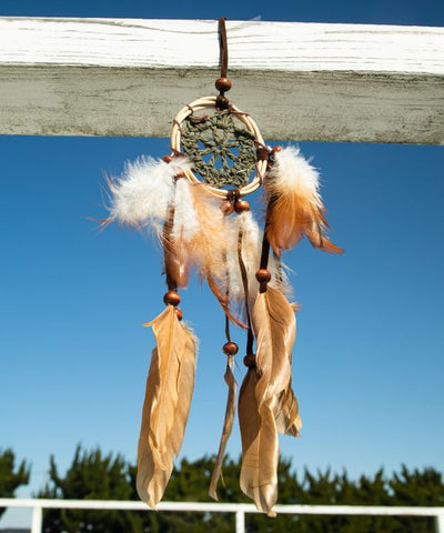 Monotone Feather Dreamcatcher