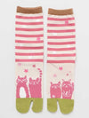 SAKURA NEKO TABI Socks 23～25cm