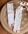 TABI Socks SIDARE SAKURA 23～25cm